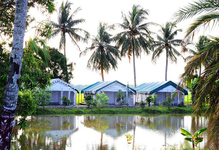Bhitarkanika & Diamond Triangle
